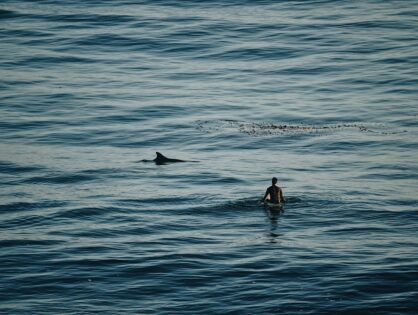 When is it safe to go back in the water?